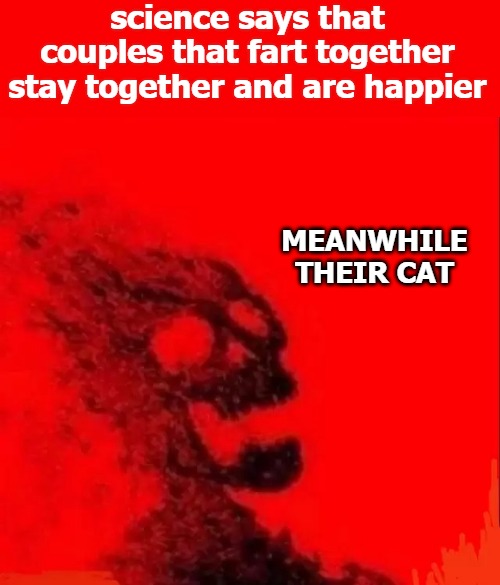 science says that couples that fart together stay together and are happier; MEANWHILE THEIR CAT | image tagged in tag | made w/ Imgflip meme maker