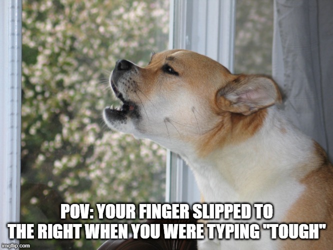 it happens | POV: YOUR FINGER SLIPPED TO THE RIGHT WHEN YOU WERE TYPING "TOUGH" | image tagged in dog barking | made w/ Imgflip meme maker