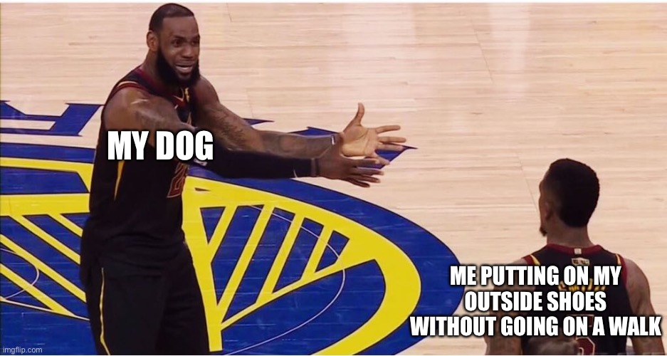 What dogs feel like | MY DOG; ME PUTTING ON MY OUTSIDE SHOES WITHOUT GOING ON A WALK | image tagged in lebron james jr smith,memes,dogs | made w/ Imgflip meme maker