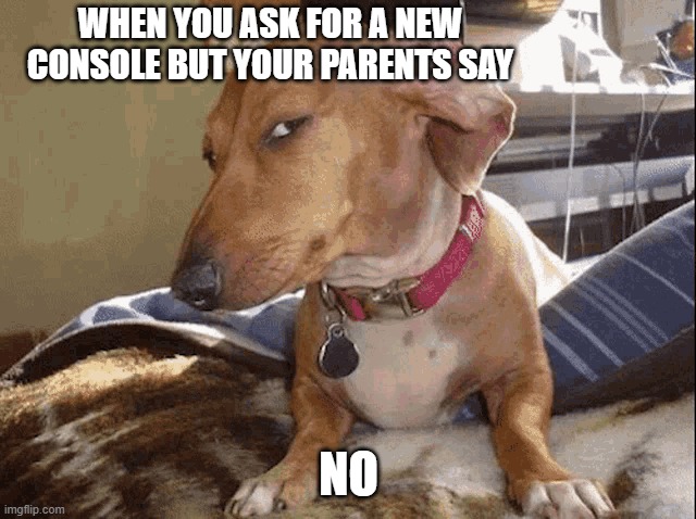 yeah I getcha dog | WHEN YOU ASK FOR A NEW CONSOLE BUT YOUR PARENTS SAY; NO | image tagged in sus dog | made w/ Imgflip meme maker