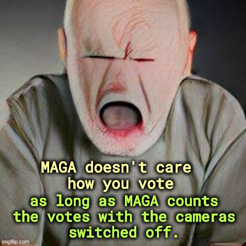 as long as MAGA counts
 the votes with the cameras 
switched off. MAGA doesn't care 
how you vote | image tagged in maga,vote,election,rigged elections,hypocrisy | made w/ Imgflip meme maker