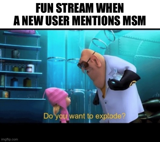 Certified fun stream moment | FUN STREAM WHEN A NEW USER MENTIONS MSM | image tagged in do you want to explode,tag,original meme,funny,kaboom,fun stream | made w/ Imgflip meme maker