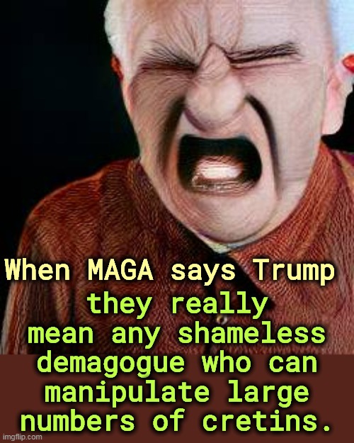 They LIKE being manipulated. | they really mean any shameless demagogue who can manipulate large numbers of cretins. When MAGA says Trump | image tagged in maga,trump,shameless,idiot,crowds,jerks | made w/ Imgflip meme maker