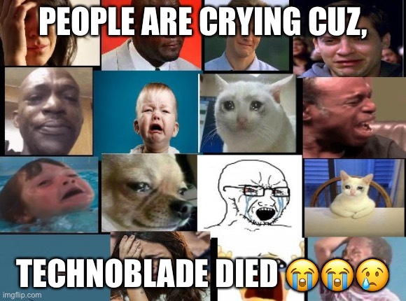 The whole squad crying |  PEOPLE ARE CRYING CUZ, TECHNOBLADE DIED 😭😭😢 | image tagged in the whole squad crying | made w/ Imgflip meme maker