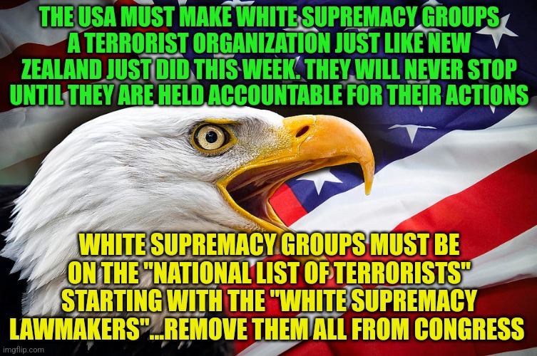 bald eagle us flag | THE USA MUST MAKE WHITE SUPREMACY GROUPS A TERRORIST ORGANIZATION JUST LIKE NEW ZEALAND JUST DID THIS WEEK. THEY WILL NEVER STOP UNTIL THEY ARE HELD ACCOUNTABLE FOR THEIR ACTIONS; WHITE SUPREMACY GROUPS MUST BE ON THE "NATIONAL LIST OF TERRORISTS" STARTING WITH THE "WHITE SUPREMACY LAWMAKERS"...REMOVE THEM ALL FROM CONGRESS | image tagged in bald eagle us flag | made w/ Imgflip meme maker