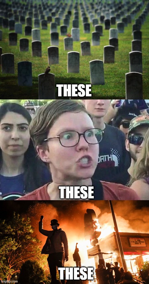 THESE THESE THESE | image tagged in graveyard cemetary,triggered liberal,blm riots | made w/ Imgflip meme maker