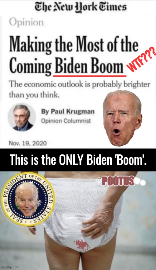 The only Biden Biom | WTF??? --------------------------; This is the ONLY Biden 'Boom'. | image tagged in black box,new york times | made w/ Imgflip meme maker