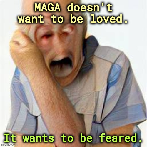 MAGA doesn't want to be loved. It wants to be feared. | image tagged in maga,love,fear,better,hypocrisy | made w/ Imgflip meme maker