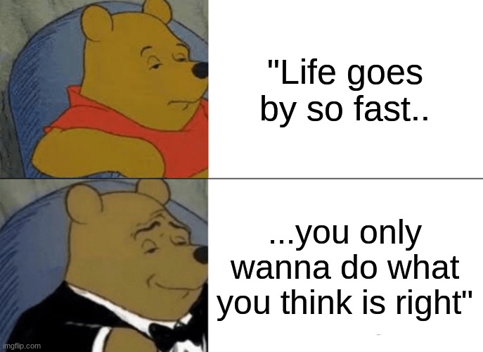 First, it's the way you comb it.. | "Life goes by so fast.. ...you only wanna do what you think is right" | image tagged in memes,tuxedo winnie the pooh | made w/ Imgflip meme maker