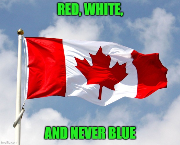 canadian flag | RED, WHITE, AND NEVER BLUE | image tagged in canadian flag | made w/ Imgflip meme maker