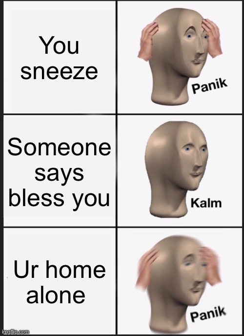 The meme is mid | You sneeze; Someone says bless you; Ur home alone | image tagged in memes,panik kalm panik | made w/ Imgflip meme maker