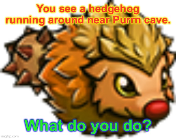 I prefer that you use Cat Quest characters, but it doesn’t matter much. | You see a hedgehog running around near Purrn cave. What do you do? | image tagged in i wonder how many people here have played cat quest | made w/ Imgflip meme maker