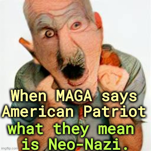 When MAGA says American Patriot; what they mean 
is Neo-Nazi. | image tagged in maga,patriot,neo-nazis,hypocrisy,racists | made w/ Imgflip meme maker