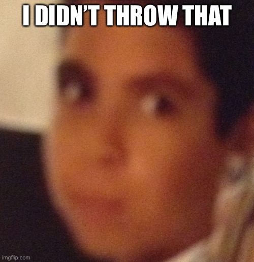 "I didn't do it..." | I DIDN’T THROW THAT | image tagged in i didn't do it | made w/ Imgflip meme maker