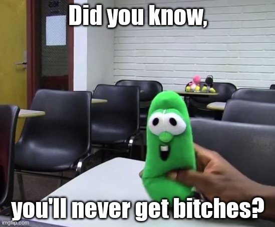 I am a child and this meme. It's comedy gold! | Did you know, you'll never get bitches? | image tagged in did you know sml version | made w/ Imgflip meme maker