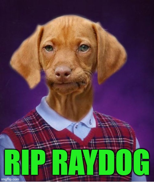 Bad Luck Raydog | RIP RAYDOG | image tagged in bad luck raydog | made w/ Imgflip meme maker