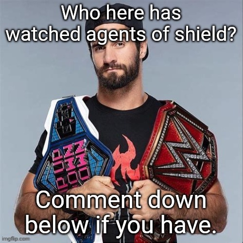 {ShadeLord: We do a little trolling.} | Who here has watched agents of shield? Comment down below if you have. | image tagged in cool seth rollins | made w/ Imgflip meme maker