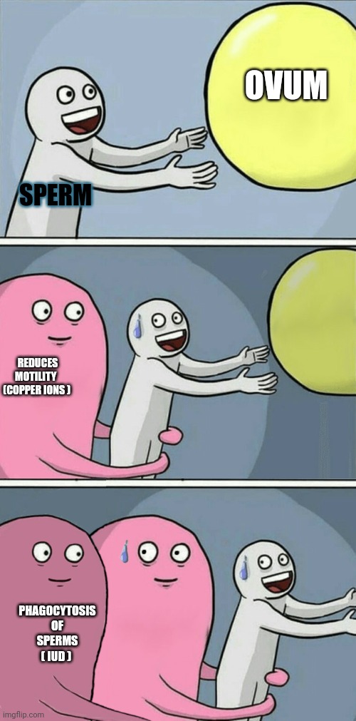 Running away balloon 2 | SPERM; OVUM; REDUCES MOTILITY   (COPPER IONS ); PHAGOCYTOSIS OF SPERMS ( IUD ) | image tagged in running away balloon 2 | made w/ Imgflip meme maker