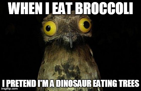 Weird Stuff I Do Potoo Meme | WHEN I EAT BROCCOLI I PRETEND I'M A DINOSAUR EATING TREES | image tagged in memes,weird stuff i do potoo,AdviceAnimals | made w/ Imgflip meme maker