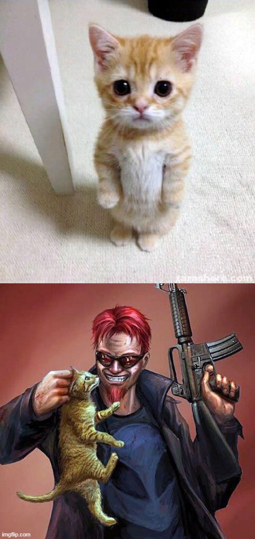 image tagged in memes,cute cat,postal,dude,postal dude,gaming | made w/ Imgflip meme maker