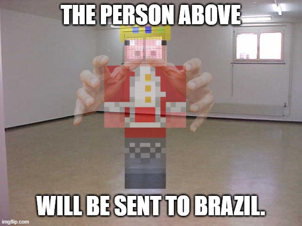 Y O U  A R E  G O I N G  T O  B R A Z I L . | THE PERSON ABOVE; WILL BE SENT TO BRAZIL. | image tagged in the ghost of technoblade | made w/ Imgflip meme maker