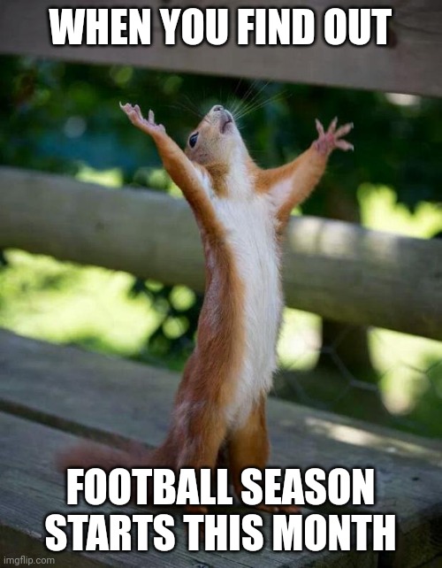 In Europe it does! | WHEN YOU FIND OUT; FOOTBALL SEASON STARTS THIS MONTH | image tagged in happy squirrel,memes,football,soccer,europe | made w/ Imgflip meme maker
