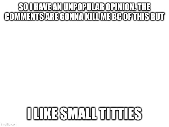 Blank White Template | SO I HAVE AN UNPOPULAR OPINION. THE COMMENTS ARE GONNA KILL ME BC OF THIS BUT; I LIKE SMALL TITTIES | image tagged in blank white template | made w/ Imgflip meme maker