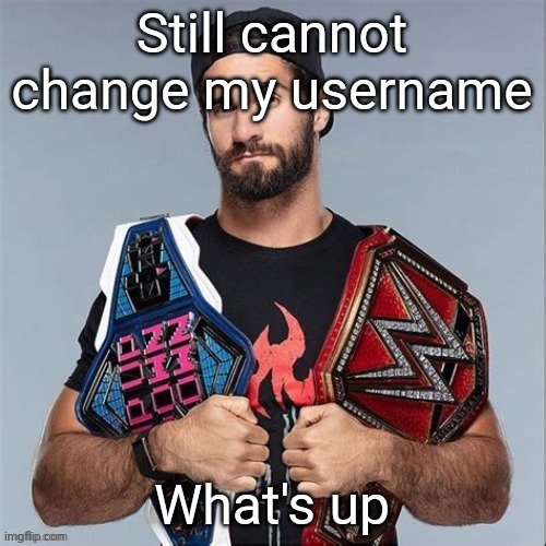 Cool seth rollins | Still cannot change my username; What's up | image tagged in cool seth rollins | made w/ Imgflip meme maker