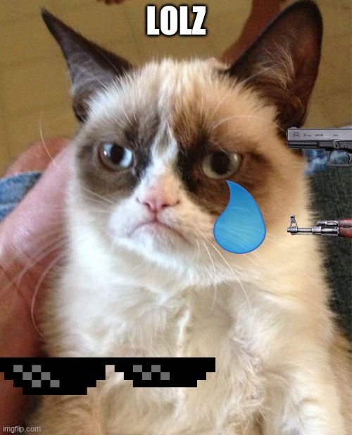 Grumpy Cat Meme | LOLZ | image tagged in memes,grumpy cat | made w/ Imgflip meme maker