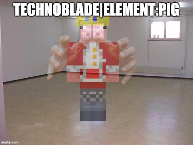 Beginner Memerion 1! | TECHNOBLADE|ELEMENT:PIG | image tagged in the ghost of technoblade | made w/ Imgflip meme maker