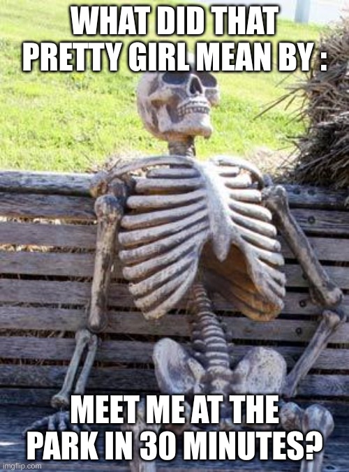 Bruh - 3.0 |  WHAT DID THAT PRETTY GIRL MEAN BY :; MEET ME AT THE PARK IN 30 MINUTES? | image tagged in memes,waiting skeleton | made w/ Imgflip meme maker