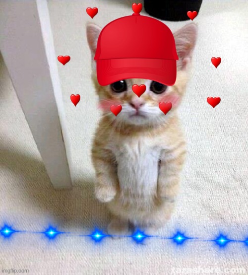 Cute Cat | image tagged in memes,cute cat | made w/ Imgflip meme maker