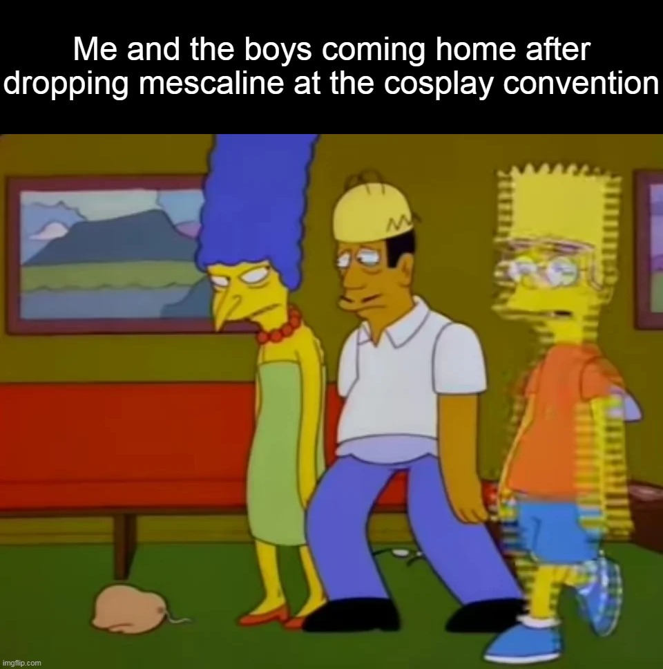 Worst Visit, Ever | Me and the boys coming home after dropping mescaline at the cosplay convention | image tagged in meme,memes,humor | made w/ Imgflip meme maker