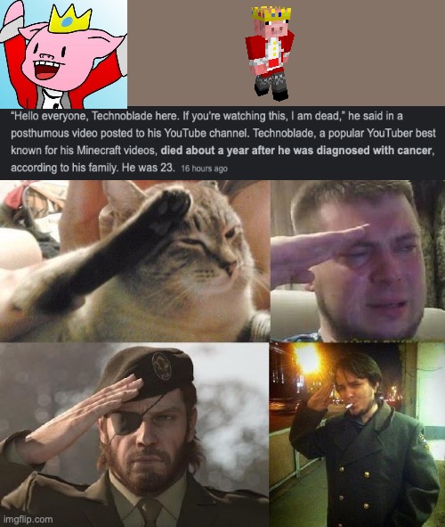 Sad Salute | image tagged in sad salute | made w/ Imgflip meme maker