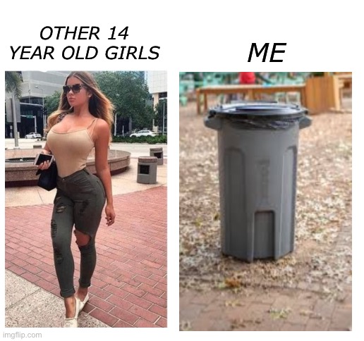 Yes | OTHER 14 YEAR OLD GIRLS; ME | image tagged in blank white template | made w/ Imgflip meme maker