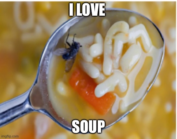 Fly in soup | I LOVE; SOUP | image tagged in fly in soup | made w/ Imgflip meme maker