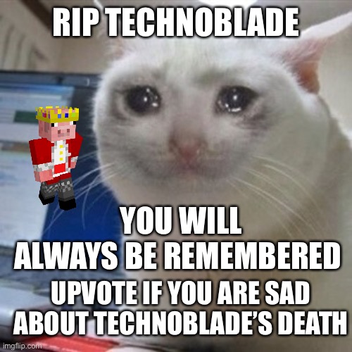 Rip Technoblade | RIP TECHNOBLADE; YOU WILL ALWAYS BE REMEMBERED; UPVOTE IF YOU ARE SAD ABOUT TECHNOBLADE’S DEATH | image tagged in crying cat | made w/ Imgflip meme maker