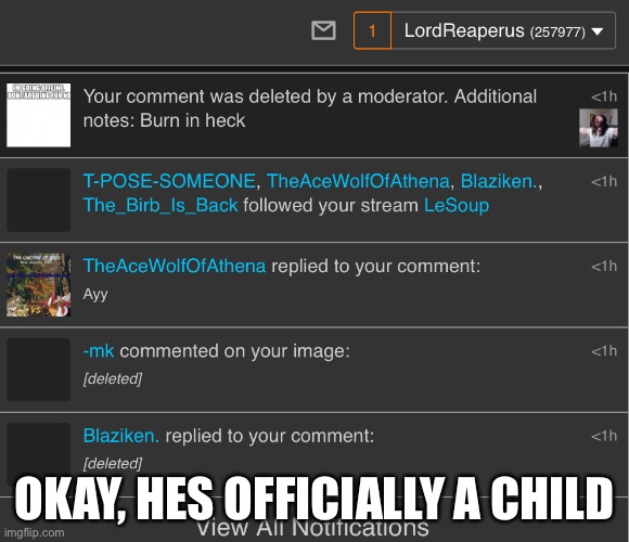 Mariothememer but more annoying | OKAY, HES OFFICIALLY A CHILD | image tagged in bruh | made w/ Imgflip meme maker