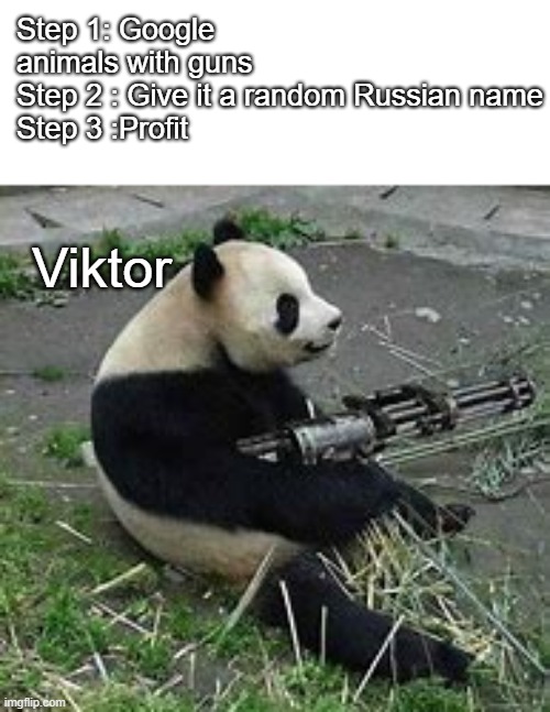 Viktor |  Step 1: Google animals with guns
Step 2 : Give it a random Russian name
Step 3 :Profit; Viktor | image tagged in animals,memes,guns,animal,russia,russians | made w/ Imgflip meme maker