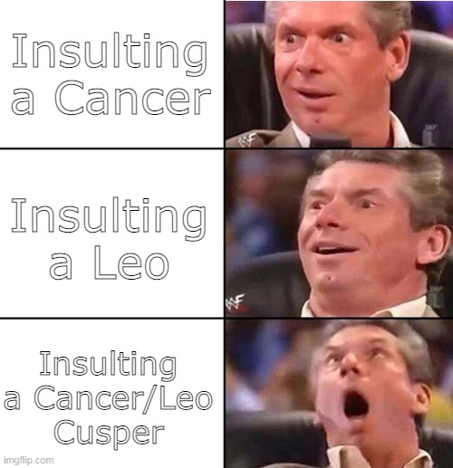 What It's Like | Insulting a Cancer; Insulting a Leo; Insulting a Cancer/Leo Cusper | image tagged in astrology,cancer,leo,zodiac,horoscope,memes | made w/ Imgflip meme maker