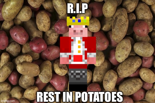 :( | R.I.P; REST IN POTATOES | image tagged in potatoes lover | made w/ Imgflip meme maker