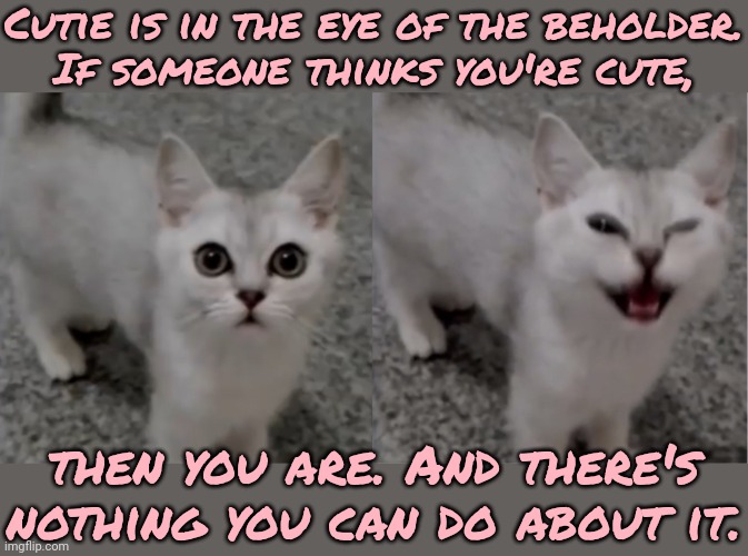 It's hard to accept, I know. | Cutie is in the eye of the beholder.
If someone thinks you're cute, then you are. And there's nothing you can do about it. | image tagged in cute but evil kitten,uplifting,words of wisdom,wholesome,self esteem | made w/ Imgflip meme maker