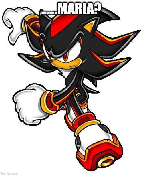 Shadow the hedgehog | ......MARIA? | image tagged in shadow the hedgehog | made w/ Imgflip meme maker