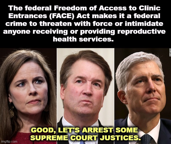 The federal Freedom of Access to Clinic 

Entrances (FACE) Act makes it a federal 
crime to threaten with force or intimidate 
anyone receiving or providing reproductive 
health services.  ; GOOD, LET'S ARREST SOME 
SUPREME COURT JUSTICES. | image tagged in womens rights,health,abortion,intimidation,supreme court,backwards | made w/ Imgflip meme maker