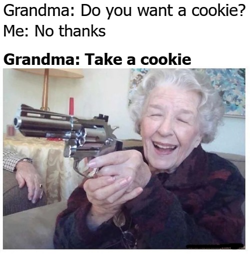 Grandma: Do you want a cookie? Me: No thanks; Grandma: Take a cookie | image tagged in tag | made w/ Imgflip meme maker