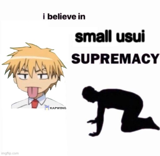i believe in X supremacy | small usui | image tagged in i believe in x supremacy,usui,maid sama | made w/ Imgflip meme maker