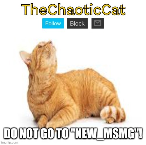 TheChaoticCat temp | DO NOT GO TO "NEW_MSMG"! | image tagged in thechaoticcat temp | made w/ Imgflip meme maker