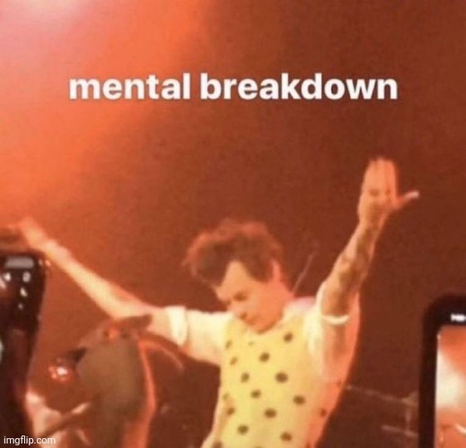 mental breakdown | image tagged in mental breakdown | made w/ Imgflip meme maker