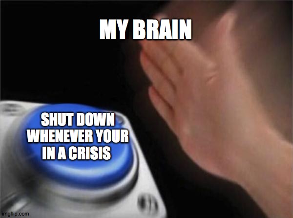 Blank Nut Button | MY BRAIN; SHUT DOWN WHENEVER YOUR IN A CRISIS | image tagged in memes,blank nut button | made w/ Imgflip meme maker