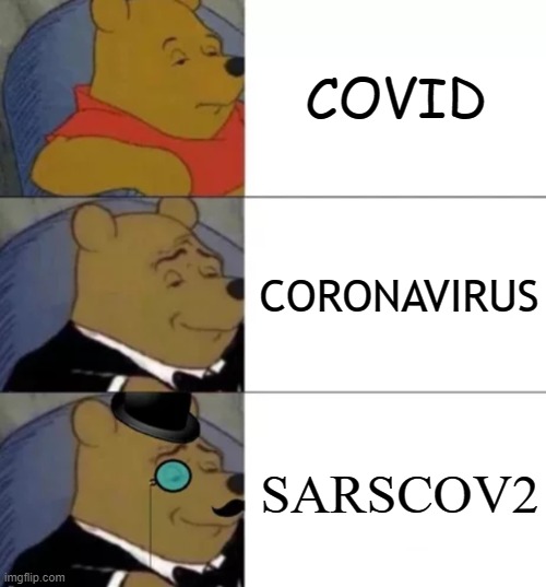 A R̶o̶s̶e̶ Virus By Any Other Name |  COVID; CORONAVIRUS; SARSCOV2 | image tagged in fancy pooh,covid,coronavirus,delta,omicron,pandemic | made w/ Imgflip meme maker
